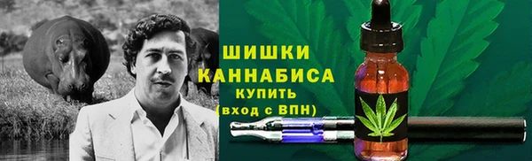 первитин Богданович